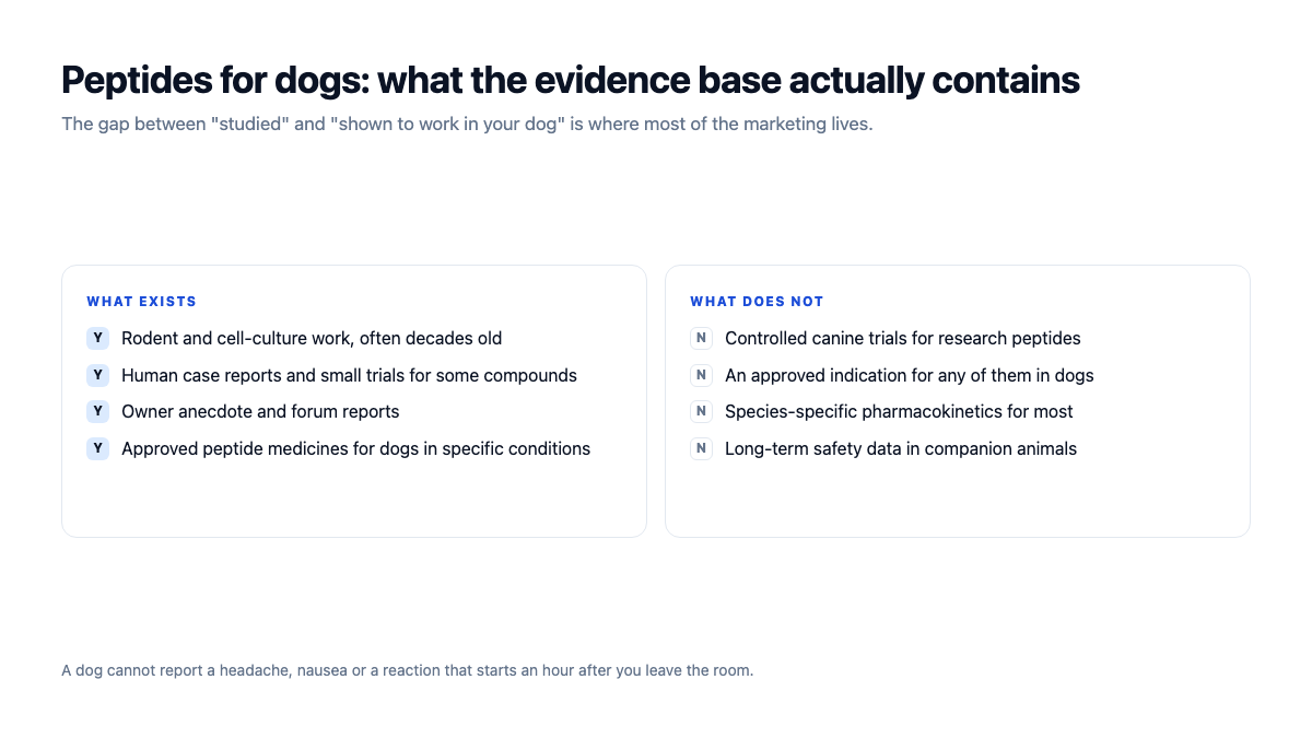 Peptides for dogs: what the evidence base contains and what it does not, including no controlled canine trials