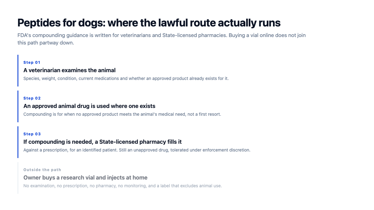 Peptides for dogs: the lawful route from veterinary exam to a State-licensed compounding pharmacy