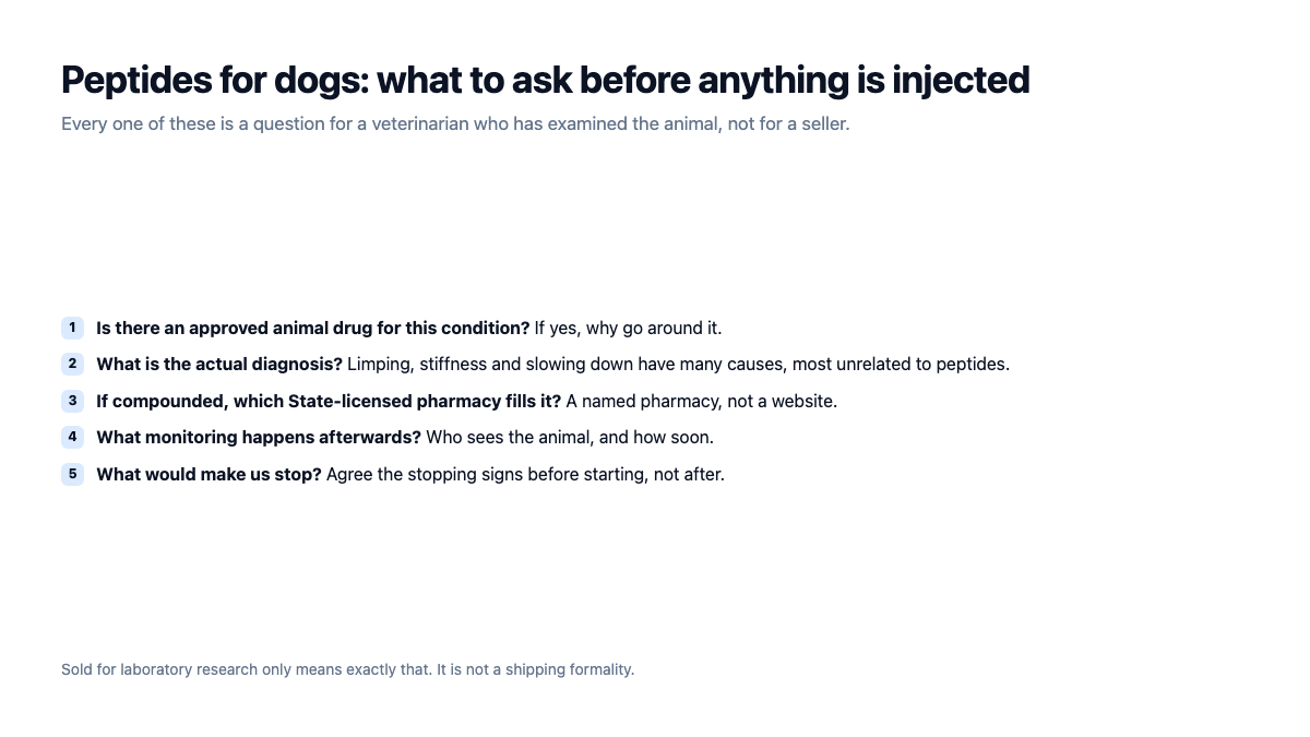 Peptides for dogs: five questions to ask a veterinarian before anything is injected