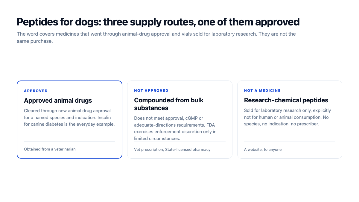 Peptides for dogs: the three supply routes compared, with only approved animal drugs cleared for use