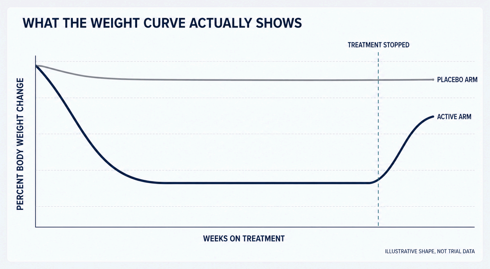 Schematic weight change curve for a weight loss injections trial showing the active arm descending and plateauing against a flat placebo arm, then rising after treatment is stopped