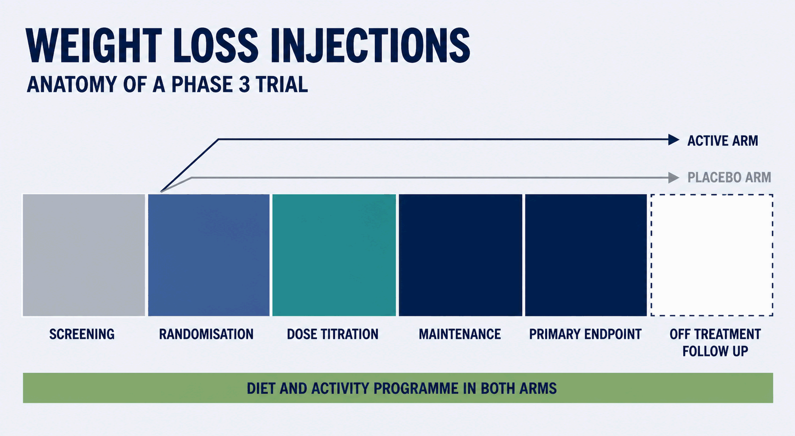 Diagram of the anatomy of a phase 3 weight loss injections trial showing screening, randomisation, dose titration, maintenance, primary endpoint and off-treatment follow-up with a diet and activity programme running under both arms